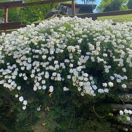 Casa Vacanza La Terrazza Valbrona Kültér fotó