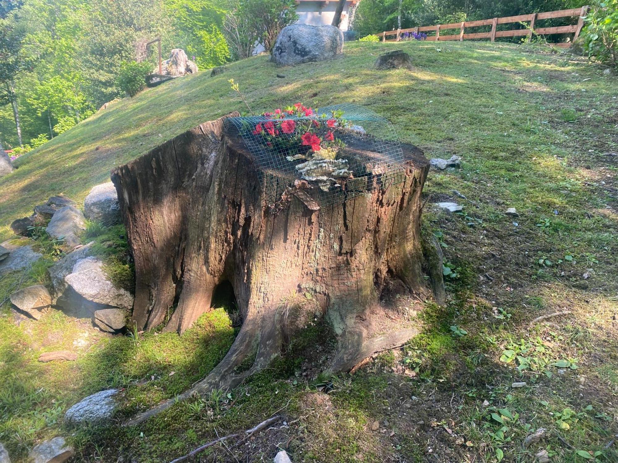 Casa Vacanza La Terrazza Valbrona Kültér fotó