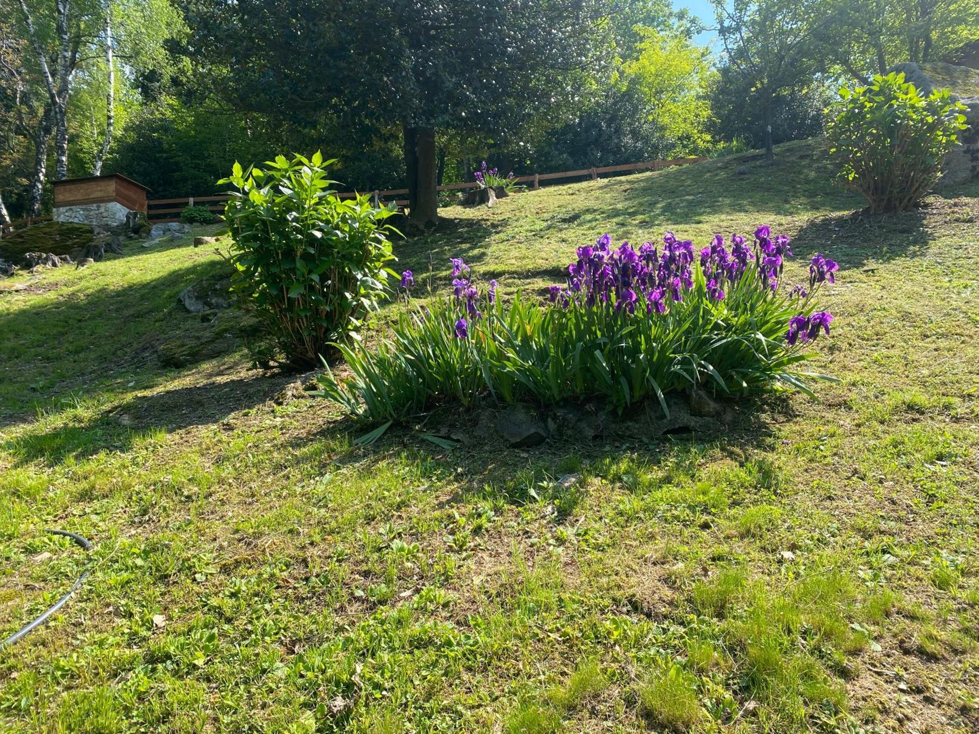 Casa Vacanza La Terrazza Valbrona Kültér fotó